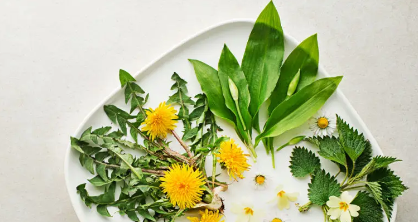 Ordinary plants like hidden treasures in the spring garden