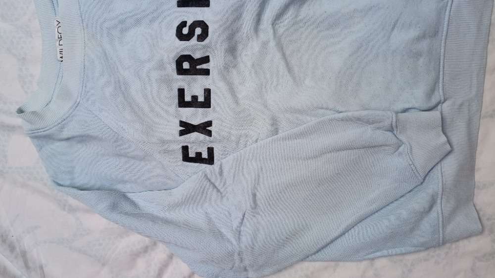 Baby blue sweatshirt with logo by Wildfox