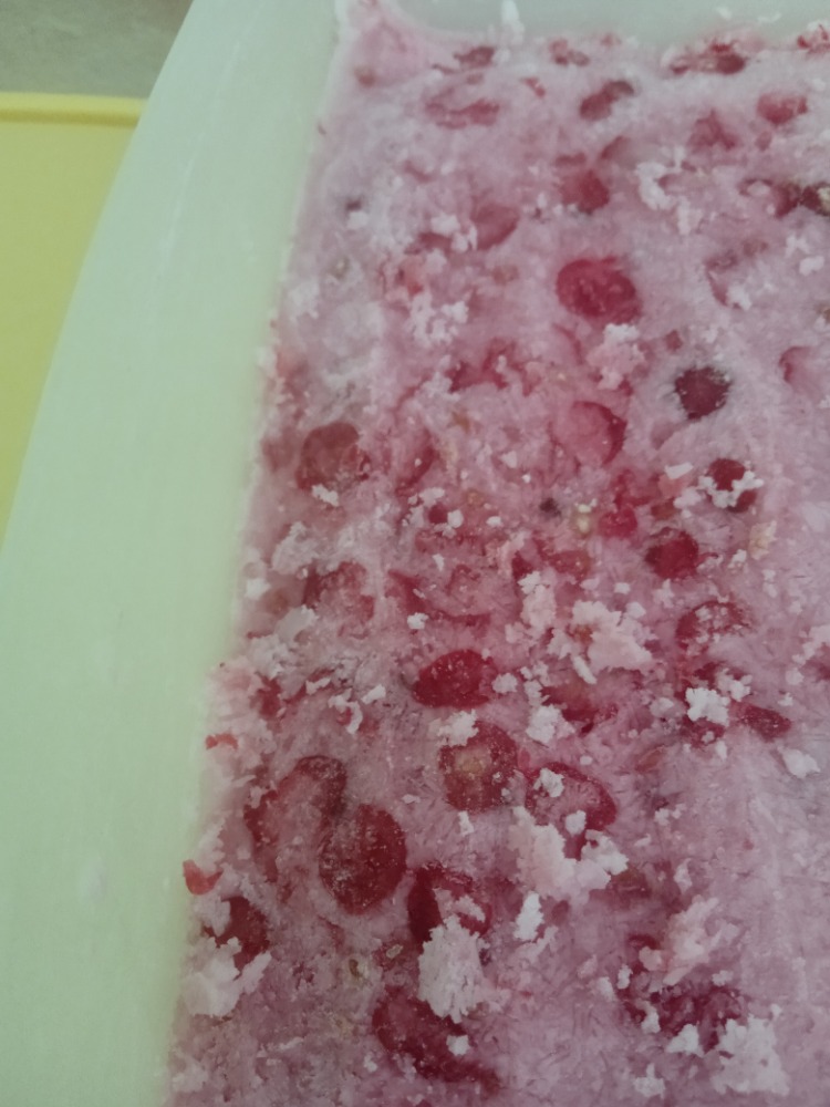 Home made black current coconut ice cream