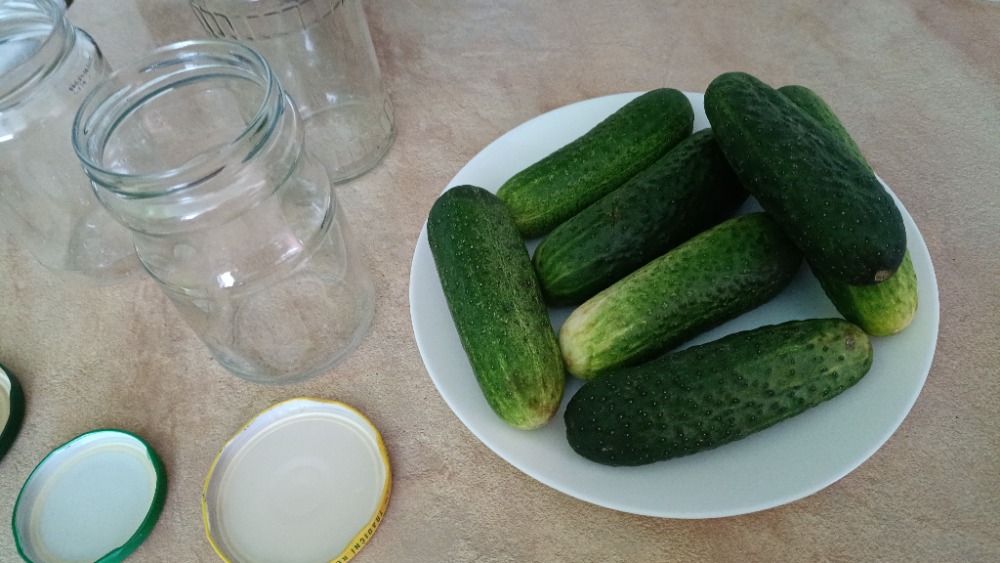 Gut bite into lacto-fermented pickles